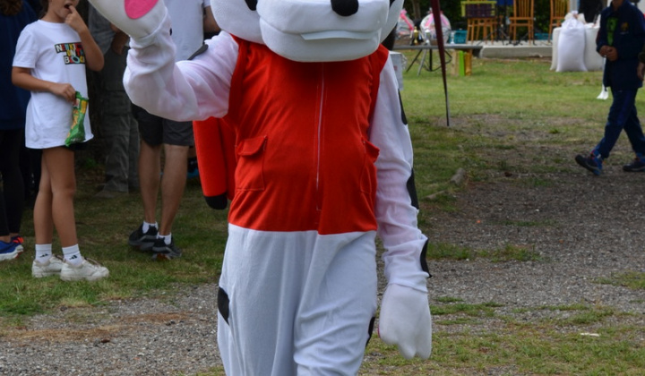 Zobraziť fotografiu