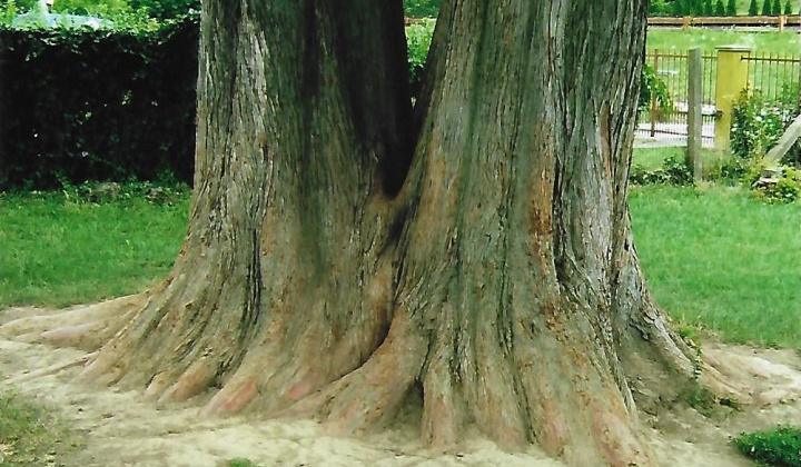 Zobraziť fotografiu